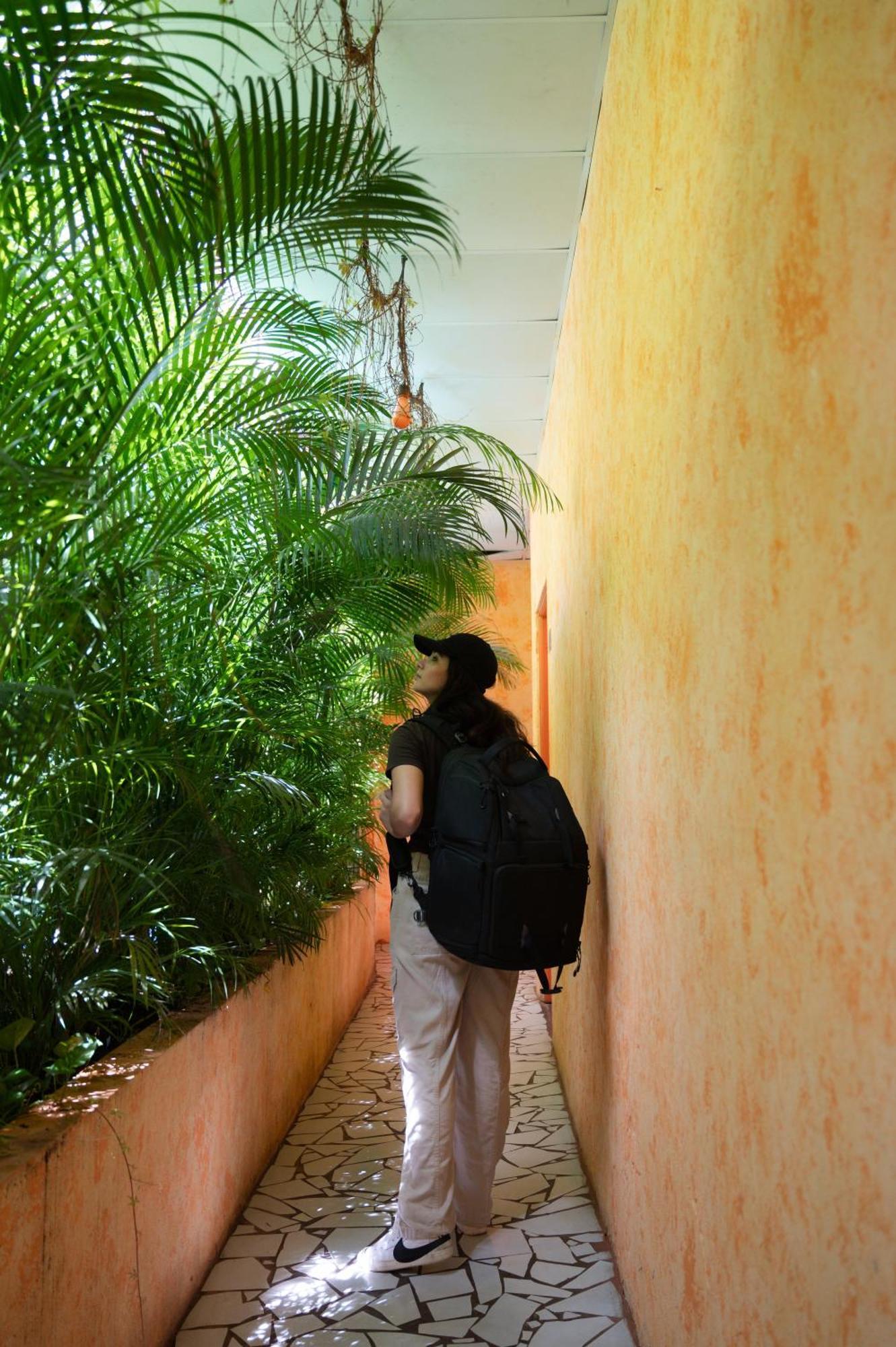 פלורס Macarena Hostel מראה חיצוני תמונה